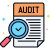 audit